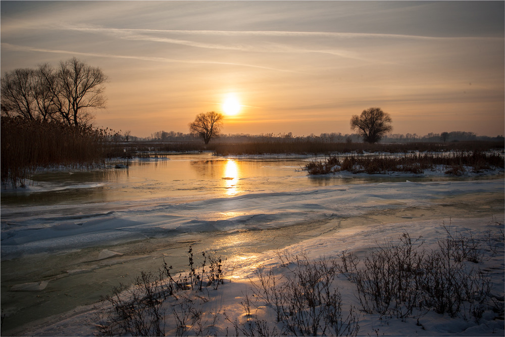Фотографія Початок зими. / Сергій Гончаров / photographers.ua
