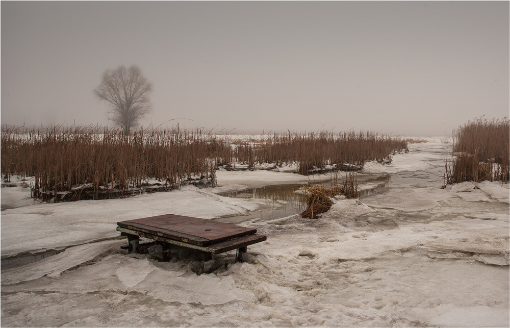 Фотографія легкий туман / Сергій Гончаров / photographers.ua