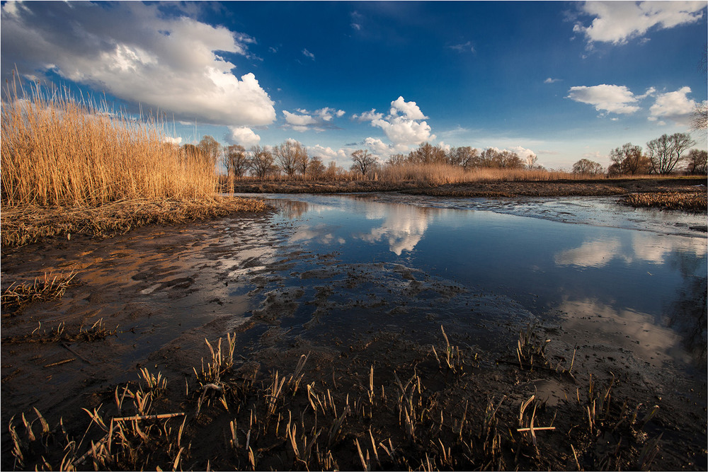 Фотографія мілка ріка / Сергій Гончаров / photographers.ua