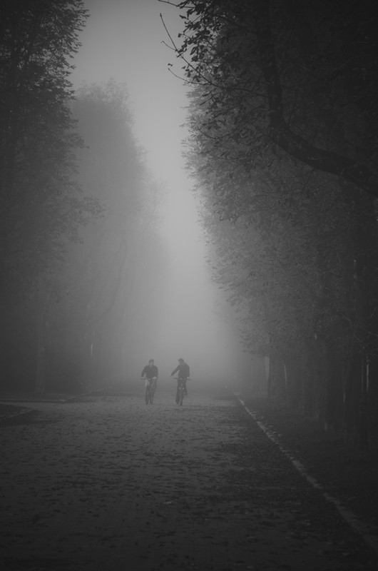 Фотографія про туман і людей в ньому.. / Євген Щегольський / photographers.ua
