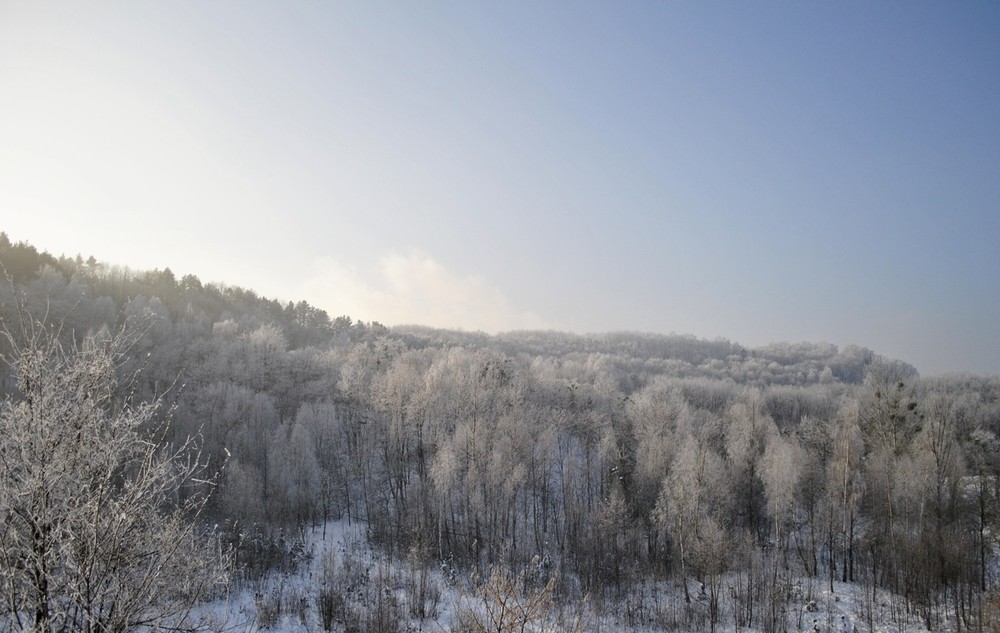 Фотографія Морозна свіжість / Nazarii Lazur / photographers.ua