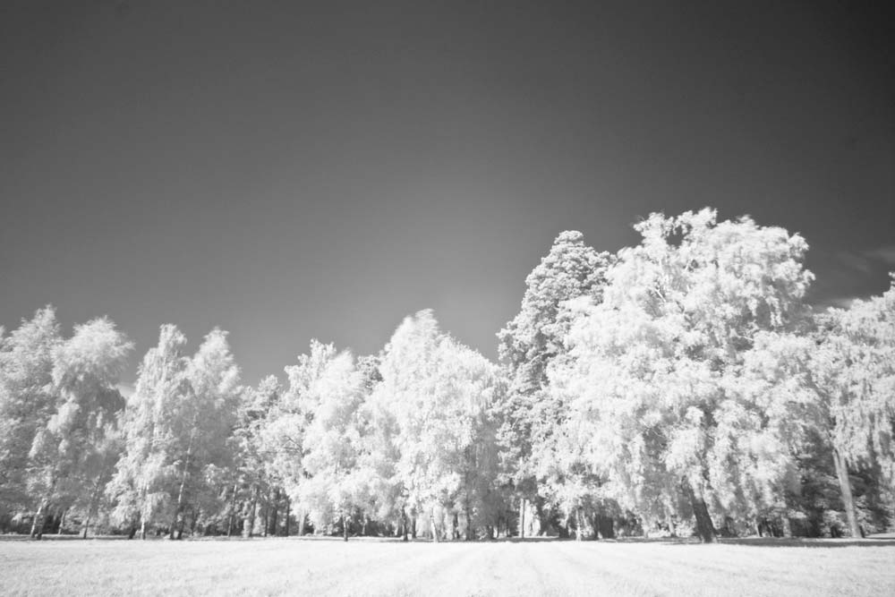 Фотографія Пейзаж / Ivan Bazelyuk / photographers.ua