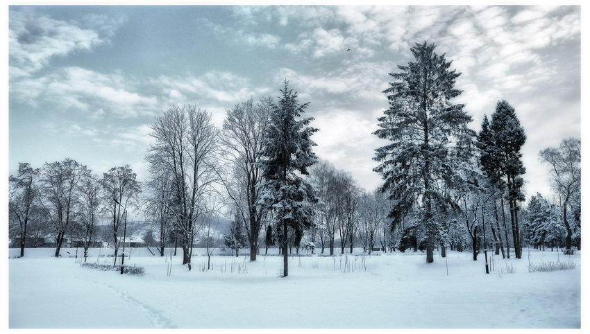 Фотографія Зима.Холода.II / SergeLGrey / photographers.ua