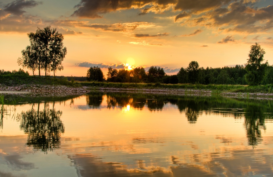 Фотографія лето, лес, закат... / Владимир Куцый (Vlad Kutsey) / photographers.ua
