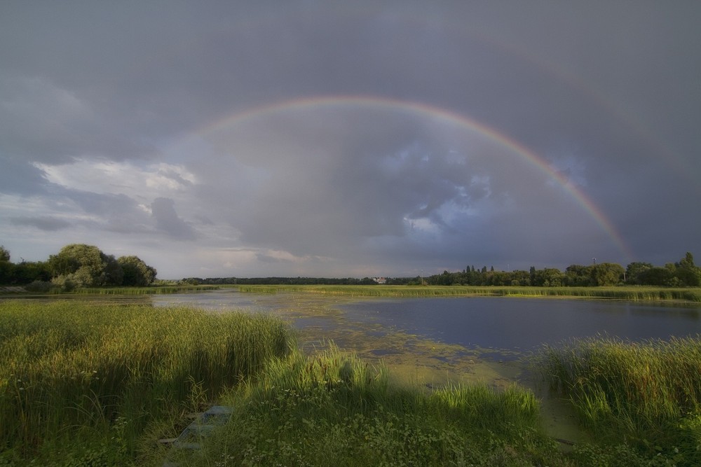 Фотографія После дождя... / Владимир Куцый (Vlad Kutsey) / photographers.ua