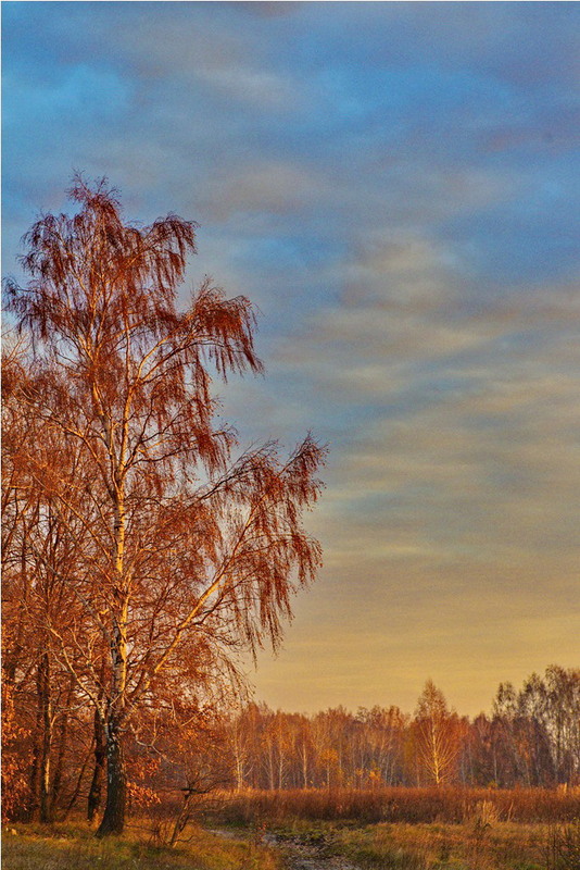 Фотографія Пейзаж / Полуэктов Василий / photographers.ua