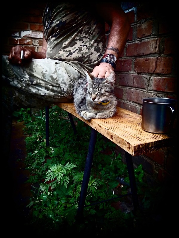 Фотографія "про чашку и кошку...." / Георгий Сутурин / photographers.ua