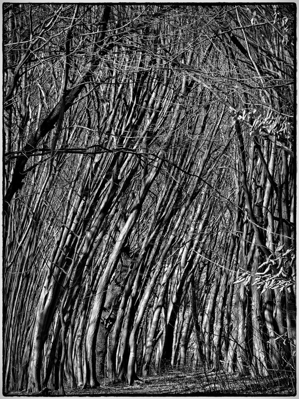 Фотографія Не зима... / Георгий Сутурин / photographers.ua