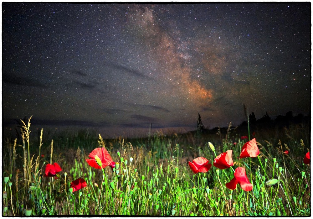 Фотографія June... / Георгий Сутурин / photographers.ua