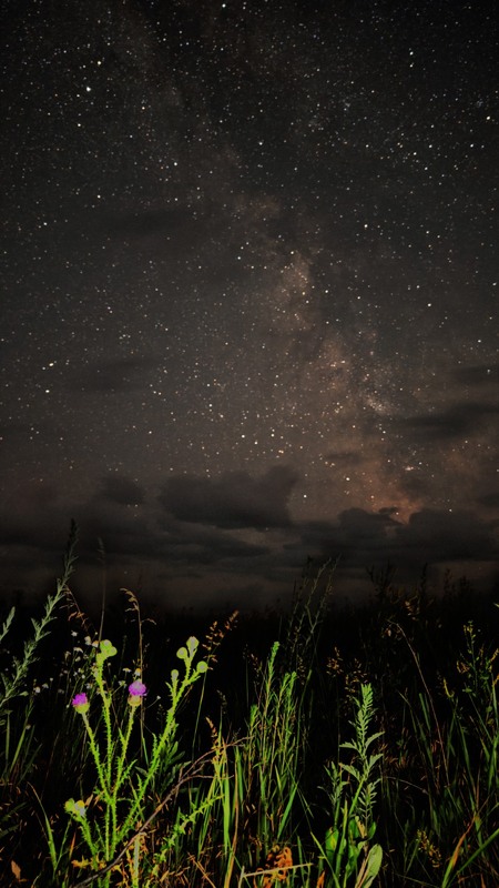 Фотографія July.... / Георгий Сутурин / photographers.ua