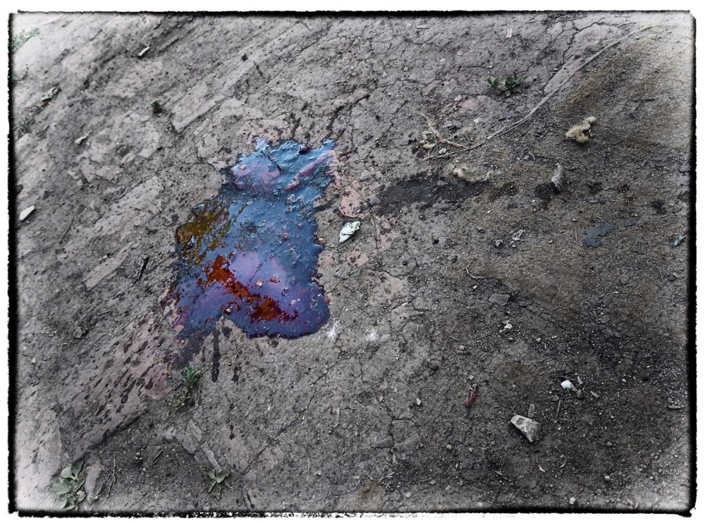 Фотографія Молча..... / Георгий Сутурин / photographers.ua