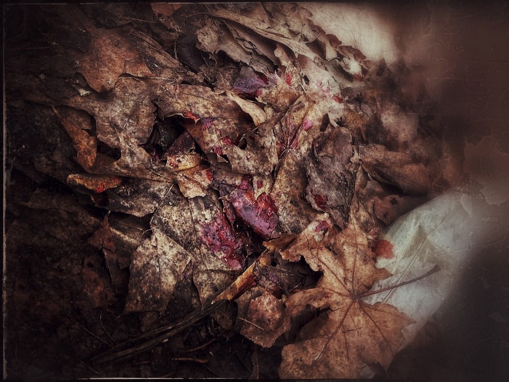 Фотографія "Глупые игры взрослых детей..." / Георгий Сутурин / photographers.ua