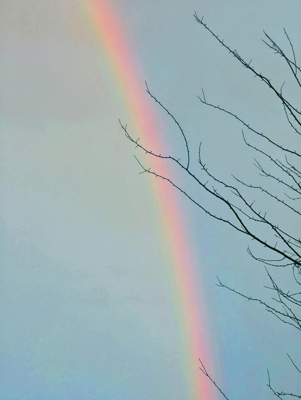 Фотографія Небо тишины... / Георгий Сутурин / photographers.ua