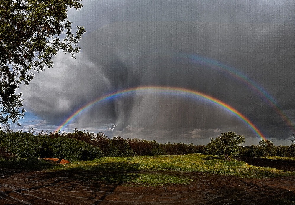 Фотографія Тиша, іноді... / Георгий Сутурин / photographers.ua