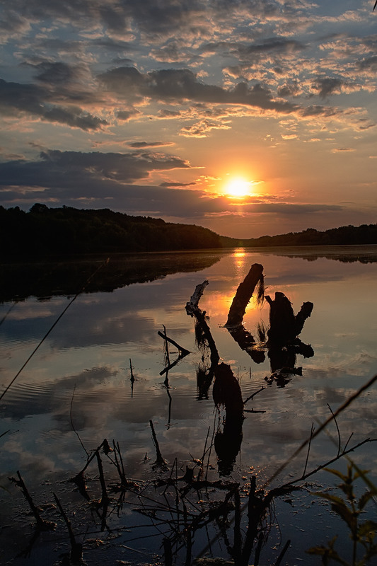 Фотографія *** / KVF / photographers.ua