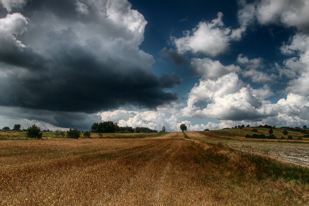 Фотографія Clouds / D Darek / photographers.ua