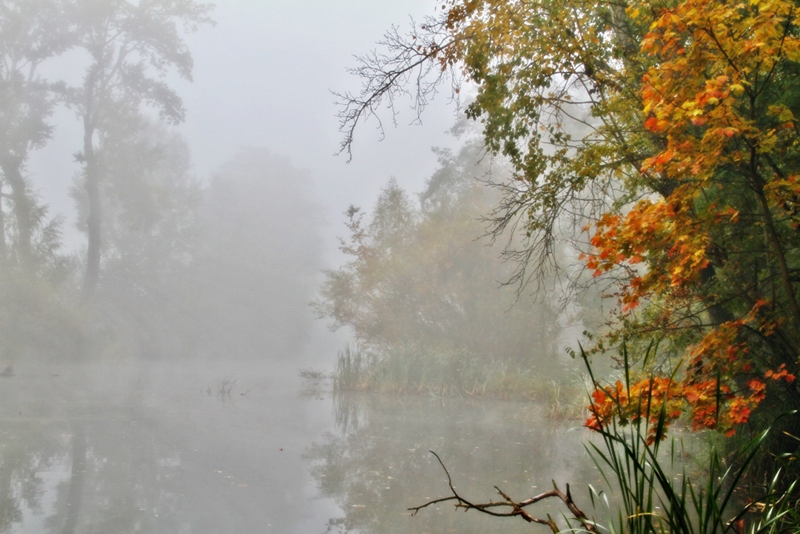 Фотографія Smoke on the Water / D Darek / photographers.ua