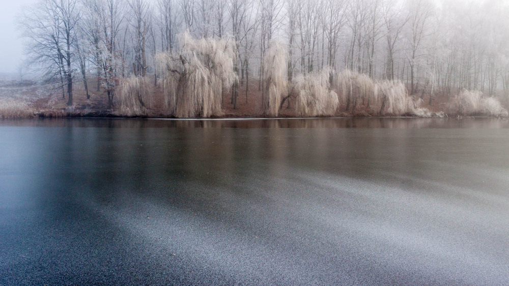 Фотографія Первый зимний день / Jural / photographers.ua