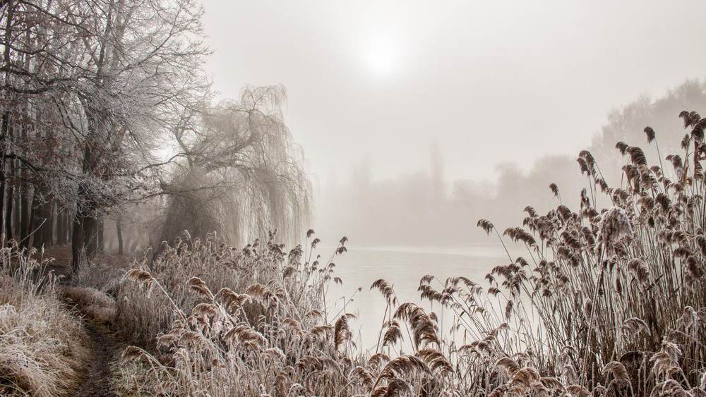 Фотографія Первый зимний день / Jural / photographers.ua