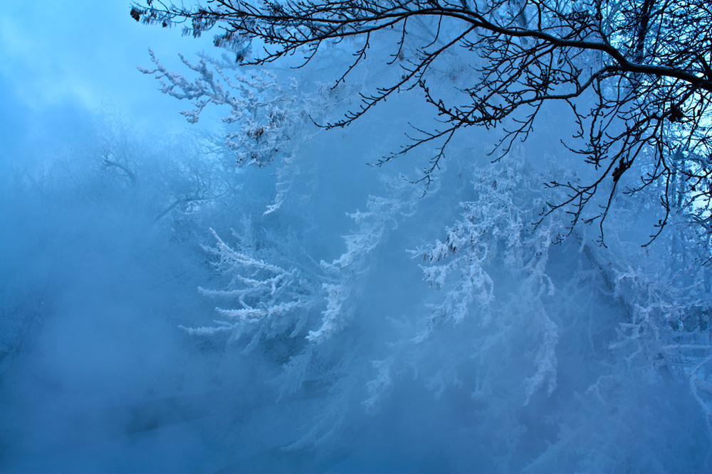 Фотографія Холодно зимой / Олександр Андреєв / photographers.ua