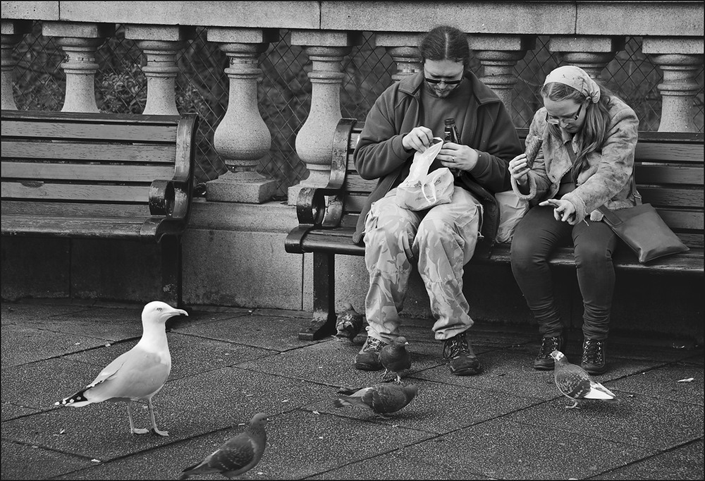 Фотографія Жадные люди и голодные птицы / Колесников Дмитрий / photographers.ua