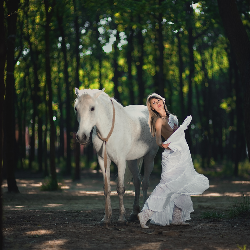 Фотографія White horse / Колесников Дмитрий / photographers.ua