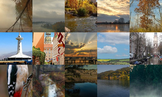 Картина дня