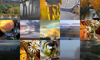 Картина дня