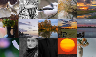 Картина дня