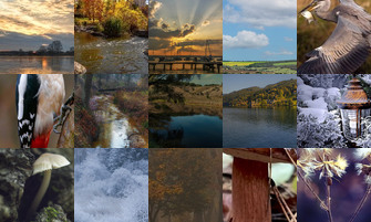 Картина дня