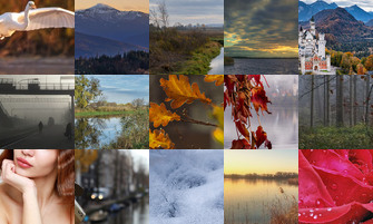 Картина дня