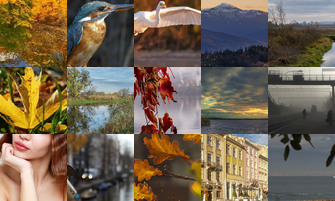 Картина дня