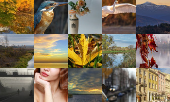 Картина дня