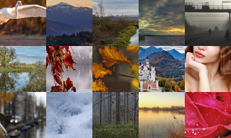 Картина дня