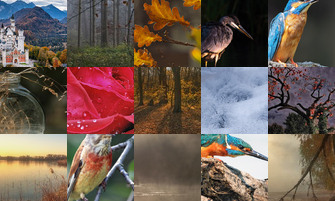 Картина дня