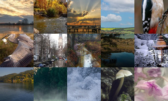 Картина дня