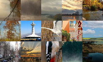 Картина дня