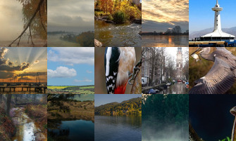 Картина дня