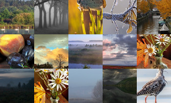 Картина дня