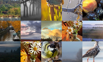 Картина дня