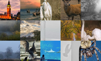 Картина дня