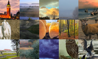 Картина дня