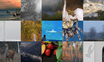 Картина дня