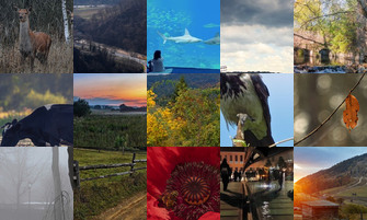 Картина дня