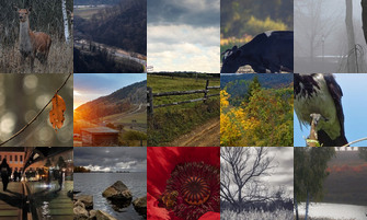 Картина дня