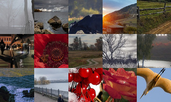 Картина дня