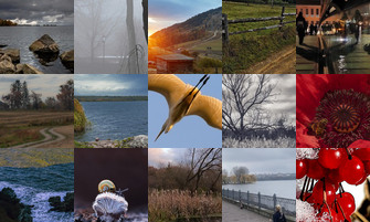 Картина дня