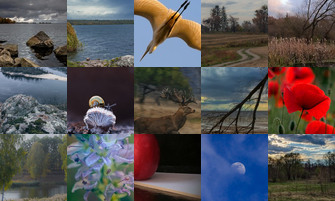 Картина дня