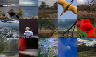 Картина дня