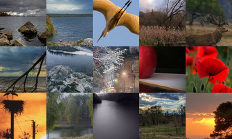 Картина дня